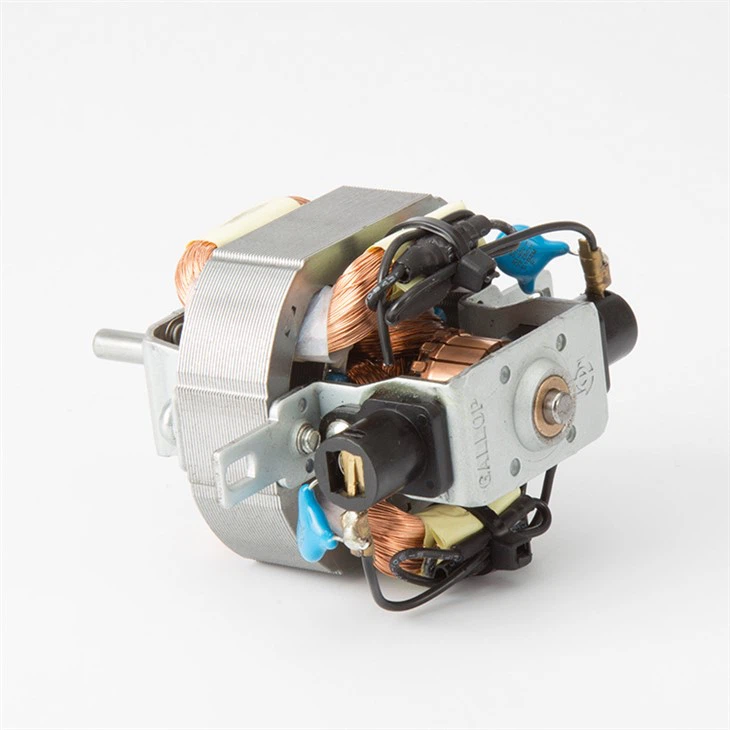 110V-230V AC מנוע למייבש שיער עם ביצועים ואיכות טובים